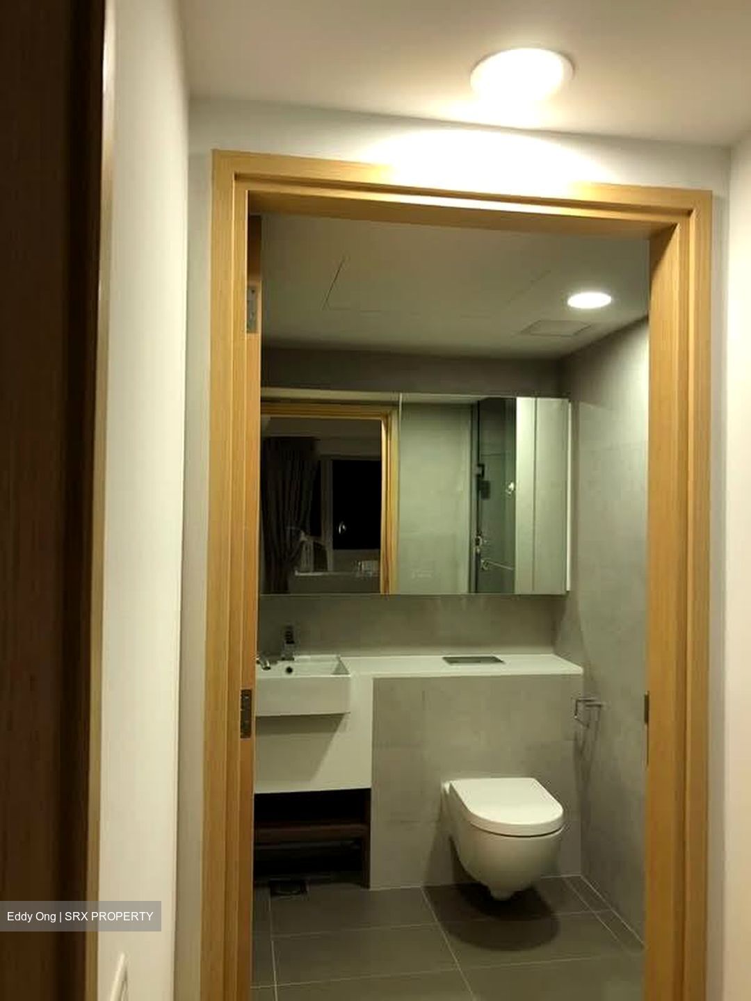 Eight Riversuites (D12), Condominium #597659561